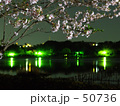 湖畔の桜と対岸の灯