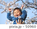 桜を喜ぶ子供2