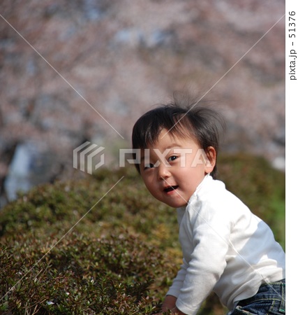 桜並木と子供