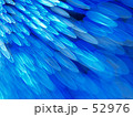 青の洪水
