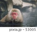 視線の先は・・・♪