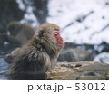 視線の先は？