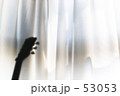 眩惑