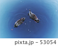 波紋