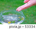 器に水を注ぐ手