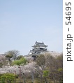 桜の季節の浜松城