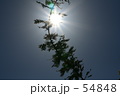 光と影