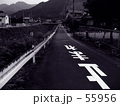 55956