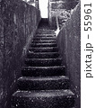 55961