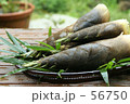 たけのこ　Ⅱ