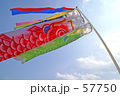 こいのぼりと青い空