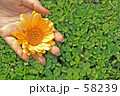 花を持つ女性の手