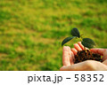 緑を大切に