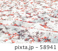素材ナンバー 58941 : 「落ち葉」