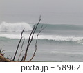 素材ナンバー 58962 : 「流木と波」