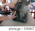 撫で手