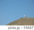 青ソラと鴎*