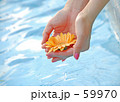 花をすくう