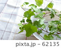 table green