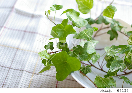 table green