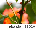 ｆ0321