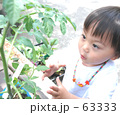 トマトの苗と子供 トマトの苗と子供