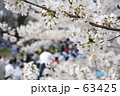 お花見1