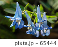 早春の陽溜の中で　１０