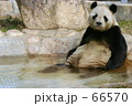 素材ナンバー 66570 : 「半身浴」