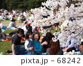 お花見をする親子
