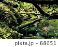 緑の水