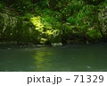 71329
