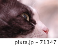 眼光