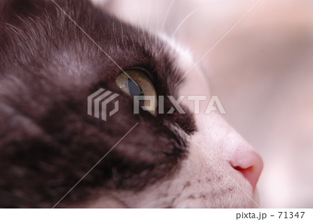 眼光