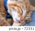 うにゅ～…むにゃむにゃ