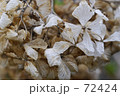早春賦　１１