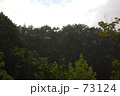 青空・雲・雨・森