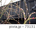 花餅
