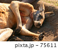 素材ナンバー 75611 : 「腕枕」
