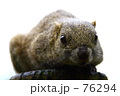 ｆ0415