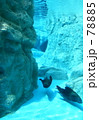 f0435