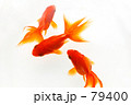 金魚