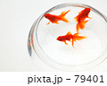 金魚