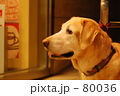 He is waiting for ・・・