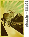 Dirty shadow goat