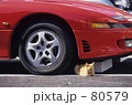 セルブな猫