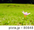 Flower of one