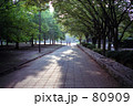 昼の公園
