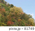 紅葉の稜線