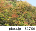 紅葉の山